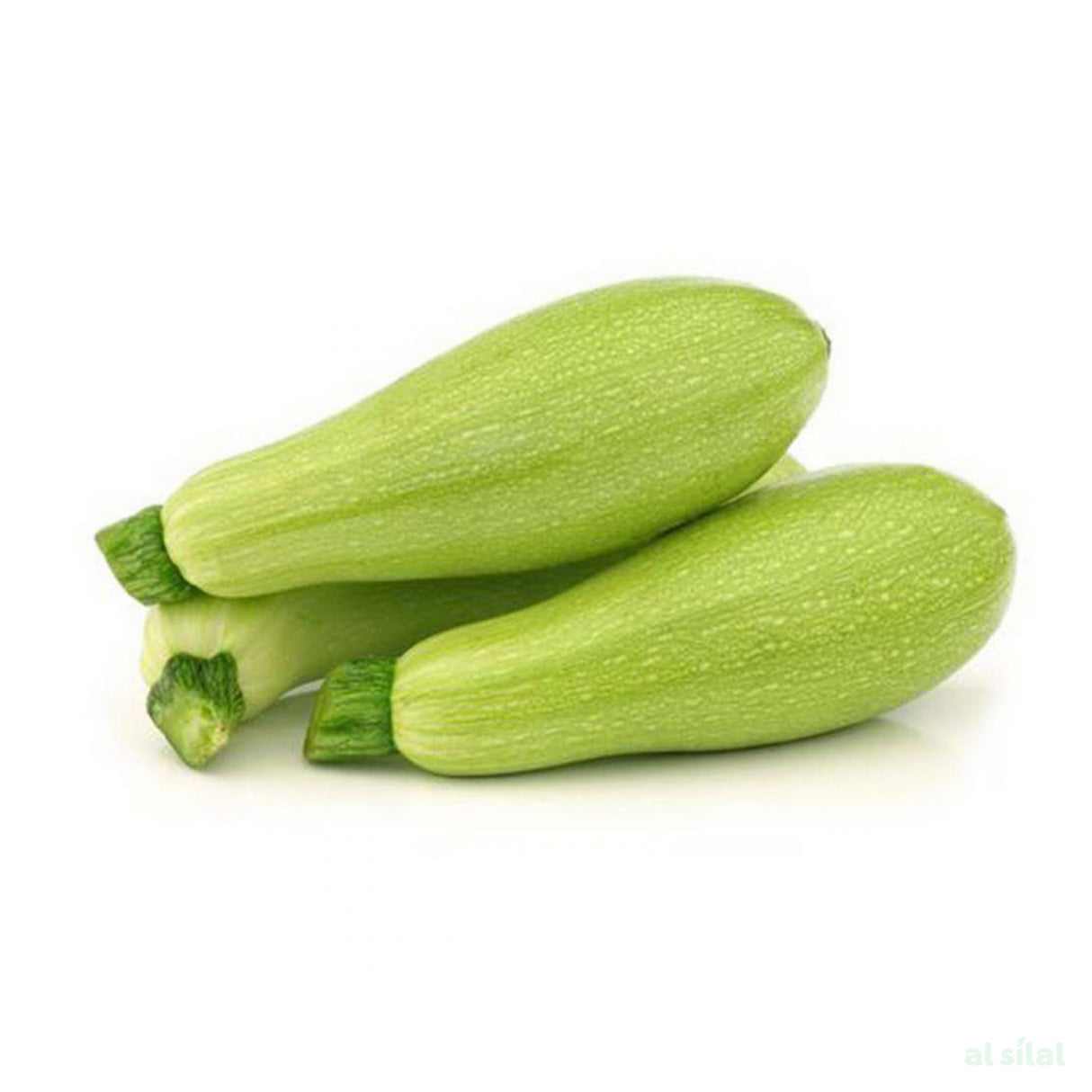 كوسة صغيرة - 1 كجم