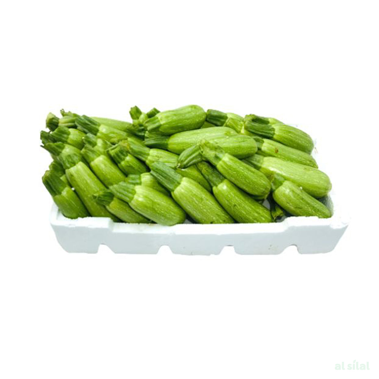 Baby Marrow (Koosa) Oman - Box