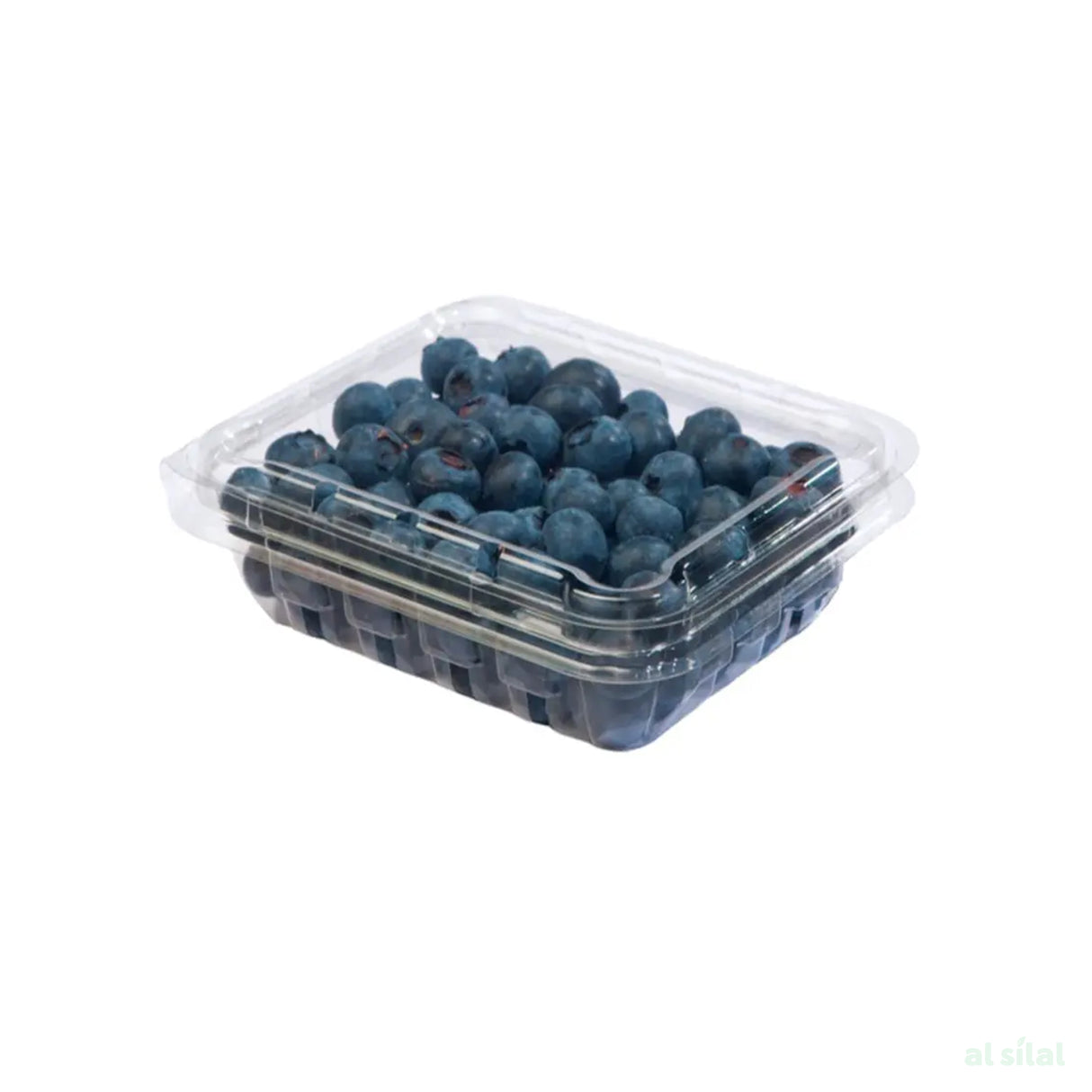 Blueberries 125g Pack
