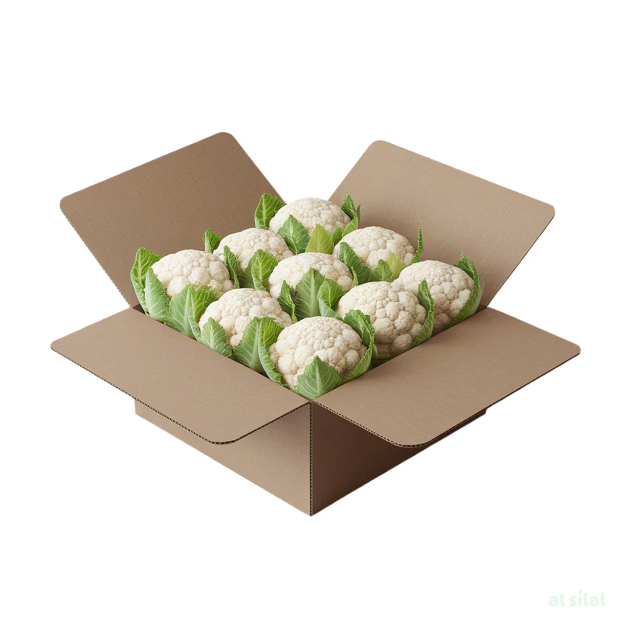 Cauliflower Oman - Box