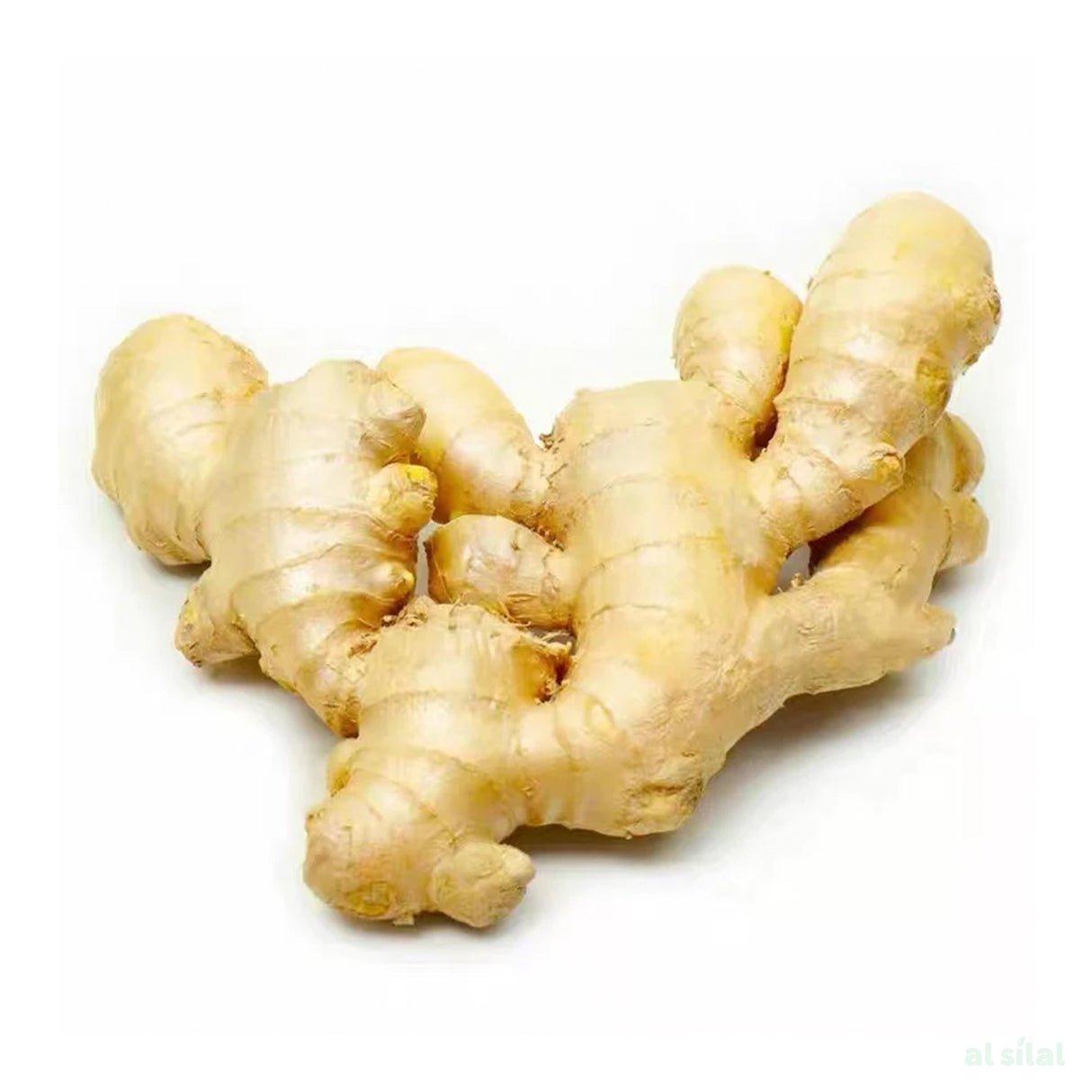 Ginger India - 1 Kg