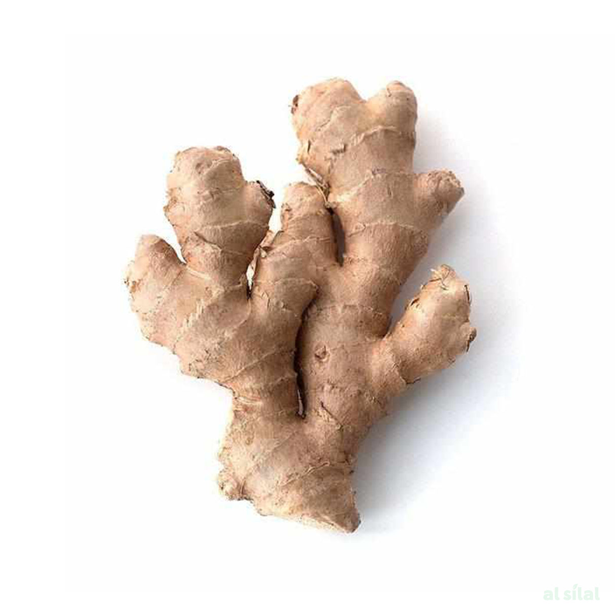 Ginger India - 500g