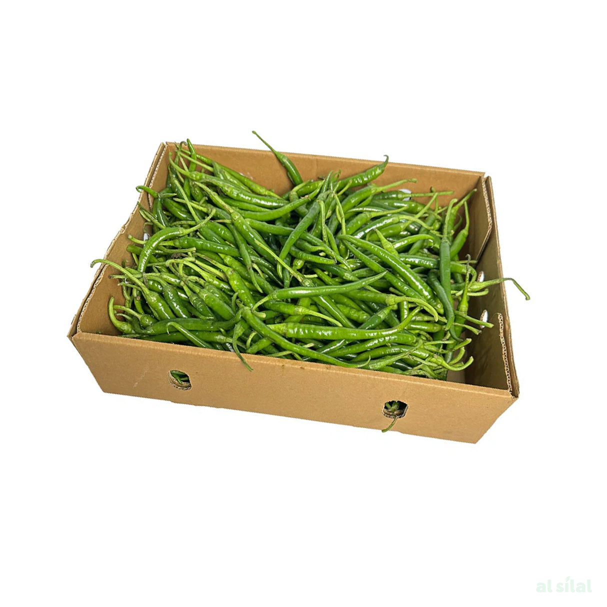 Green Chilly India - Box