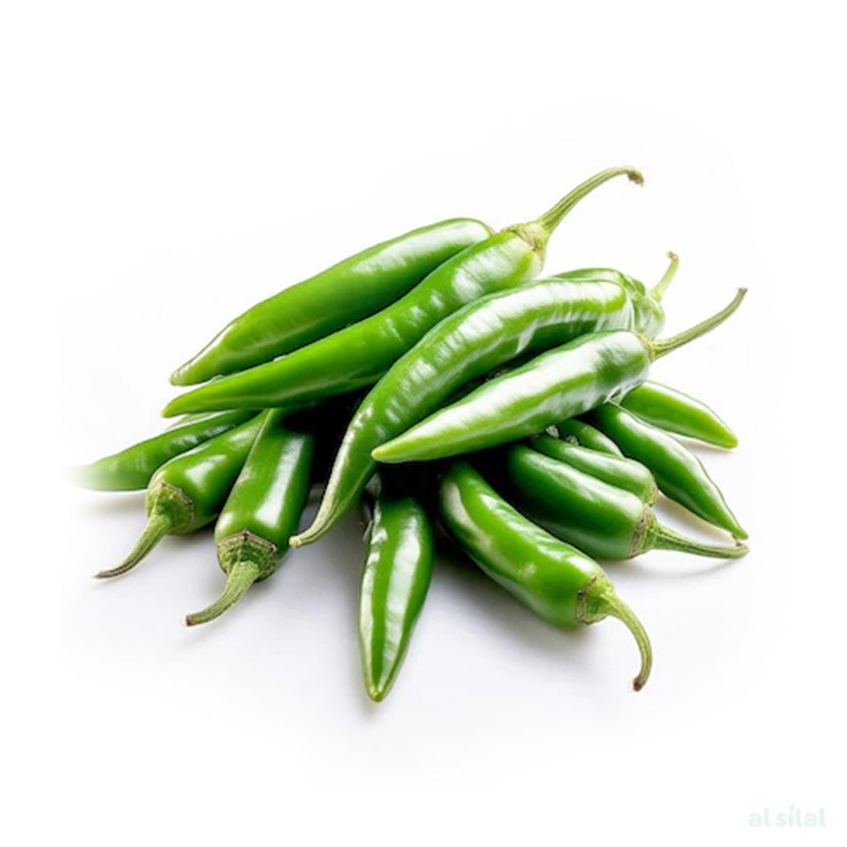 Green Chilly India - 1 Kg