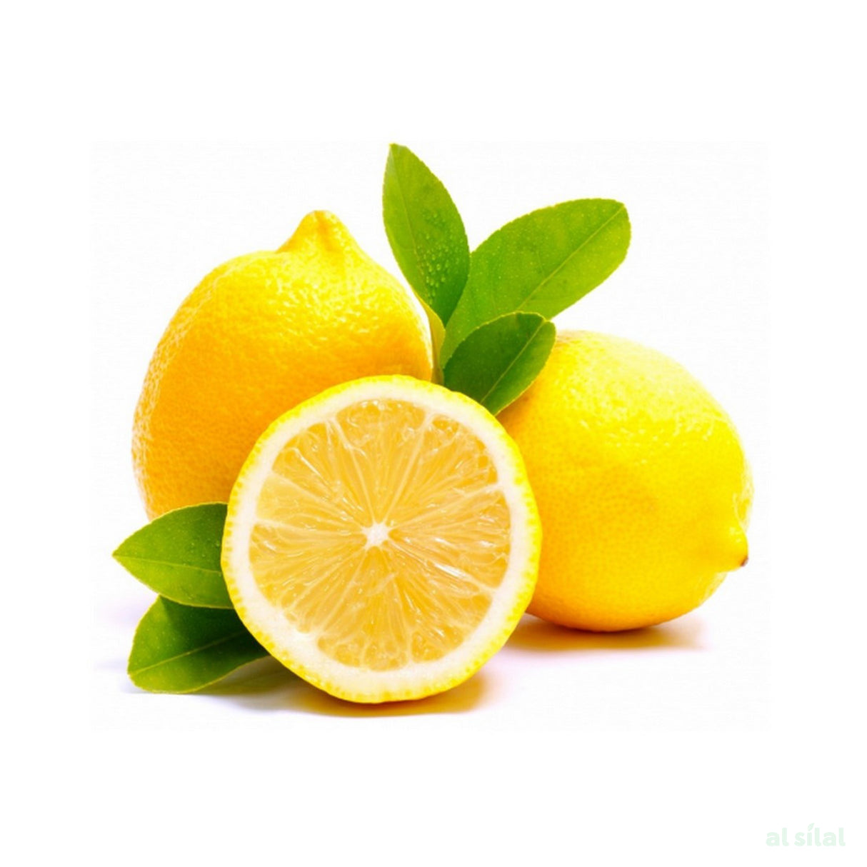 Lemon Egypt - 1 Kg