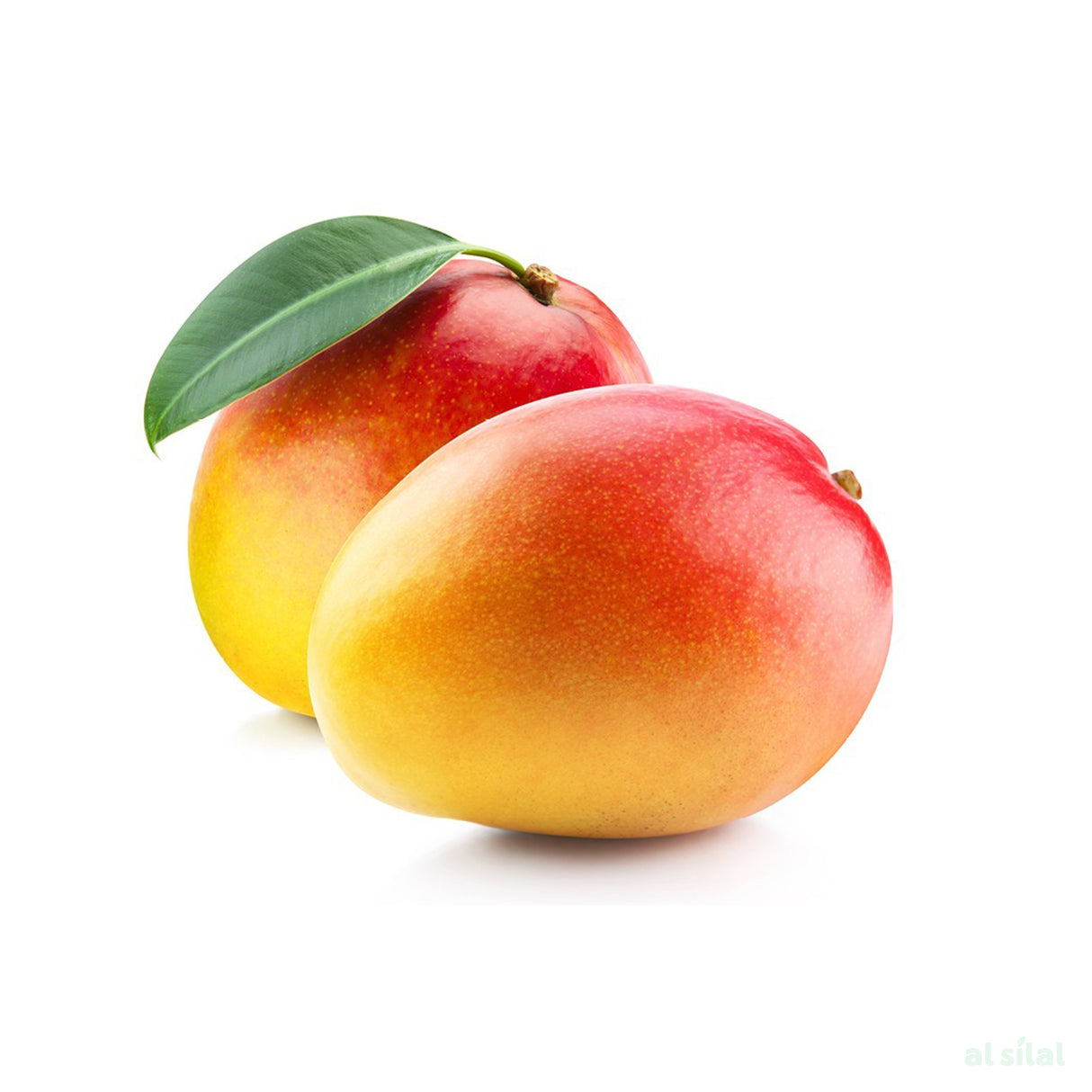 Mango Pakistan - 1 Kg