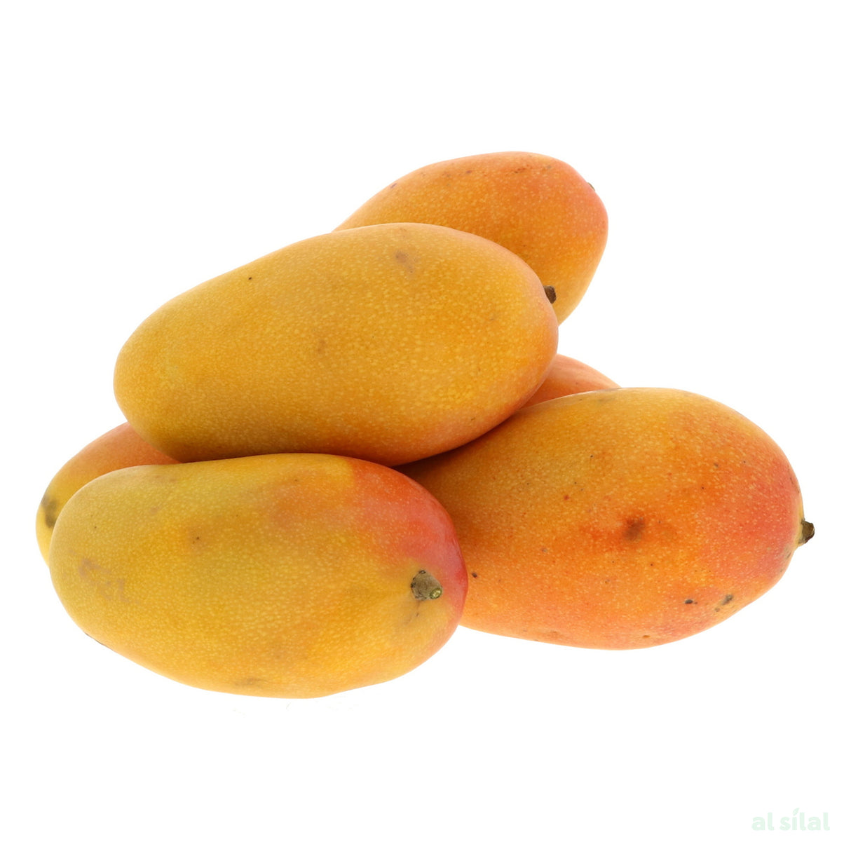 Mango India - 1 Kg