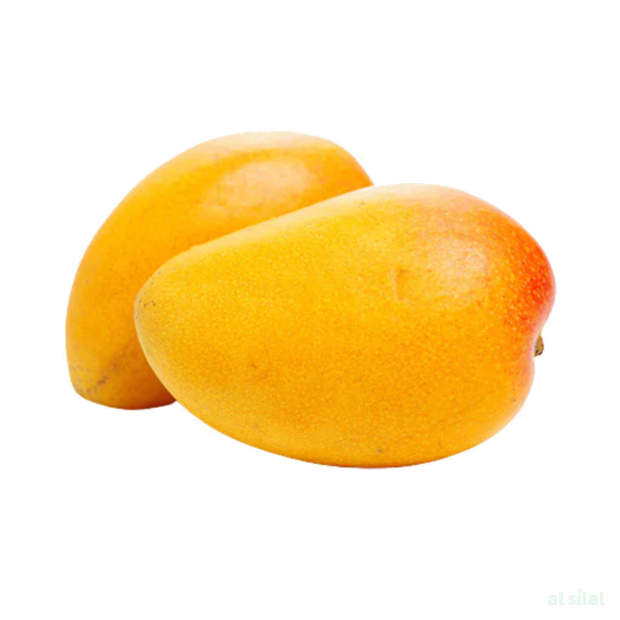 Mango Yemen - 1 Kg