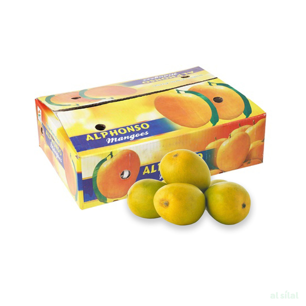 Mango Alphonso - Box