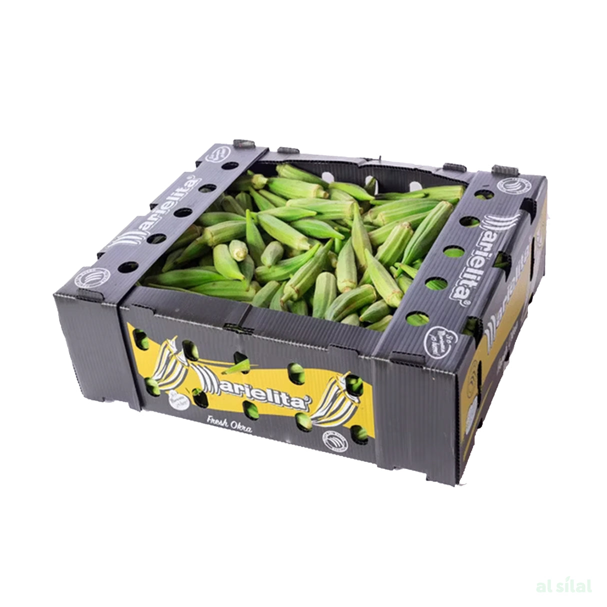 Okra (Lady Finger)  - Oman