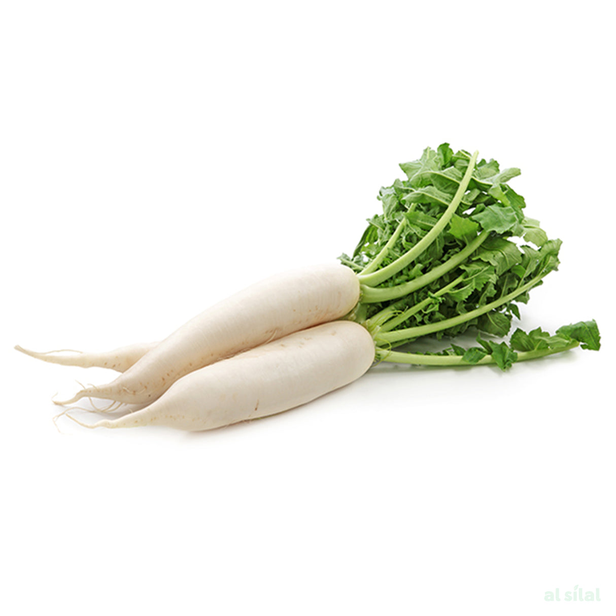 Radish - 500g