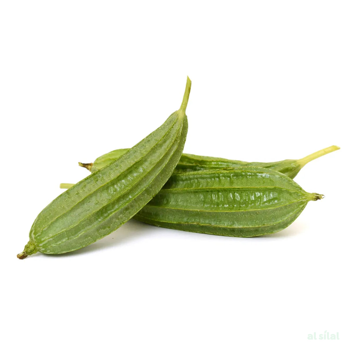 قرع ريدج - 500 غرام